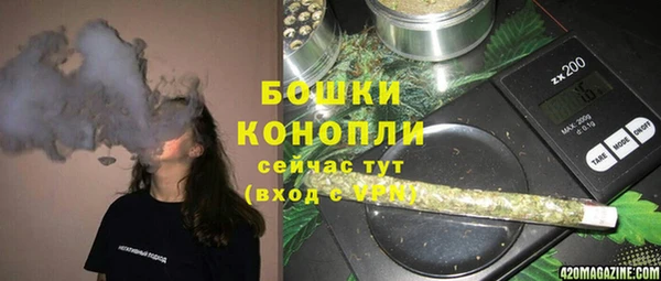 соль курить ск Белокуриха