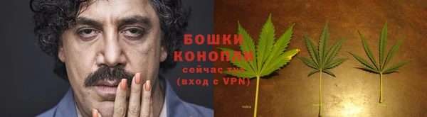 прущий лед Богданович