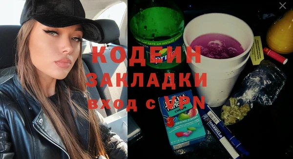 прущий лед Богданович