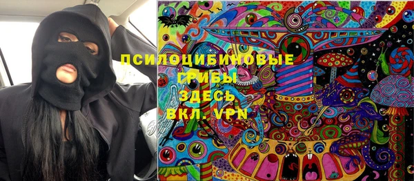 прущий лед Богданович