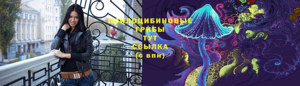гашиш Богородицк