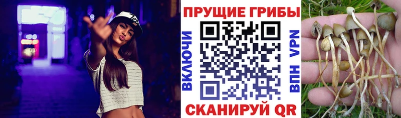 Галлюциногенные грибы MAGIC MUSHROOMS  Яровое 