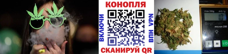 Каннабис Bruce Banner Яровое